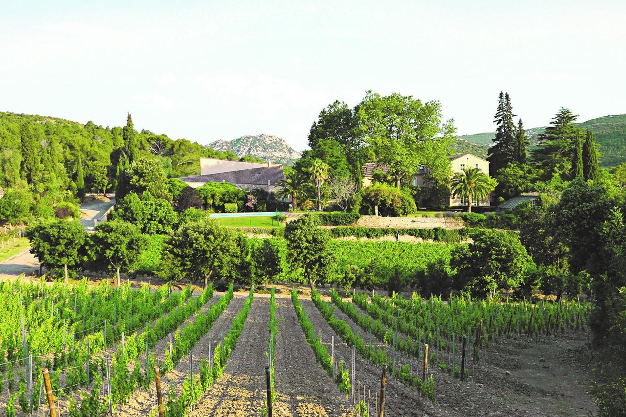 Chateau Haut Gleon Hotel Villeseque-des-Corbieres Exterior photo